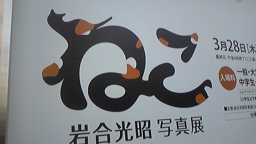 130331_130321_ed.jpg