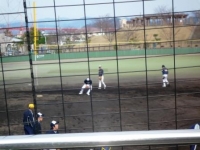 ★福井ミラクルエレファンツ★