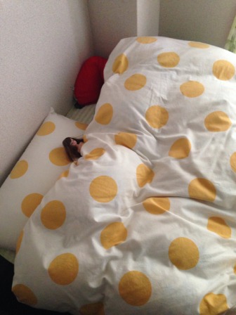 20131206145627.jpg