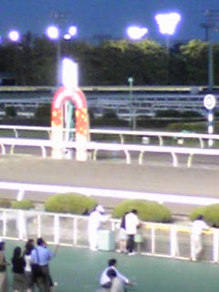 大井のゴール