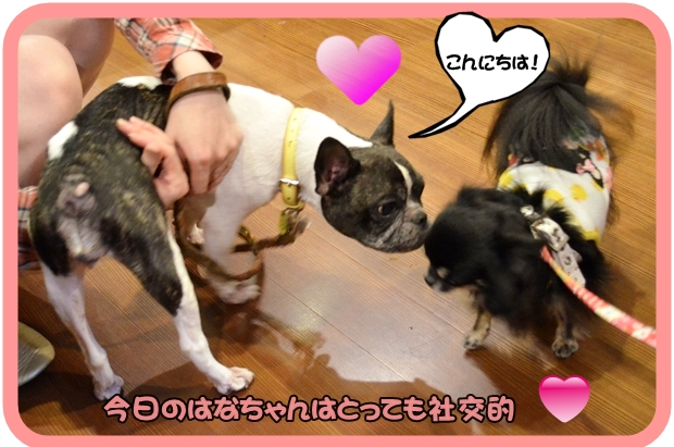 9月21日鎌田はなちゃん2.JPG