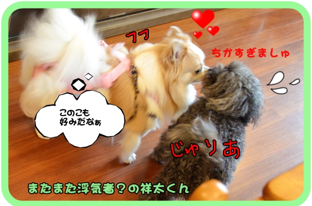 9月6日入江祥太ちゃん.JPG