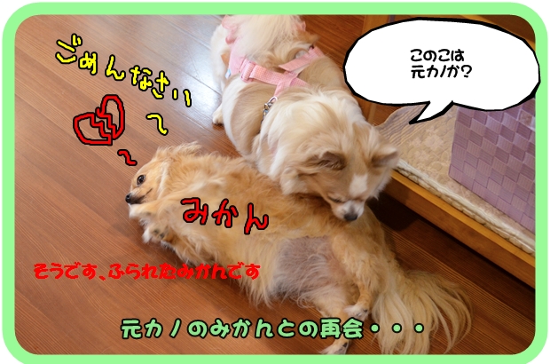 9月6日入江祥太ちゃん2.JPG