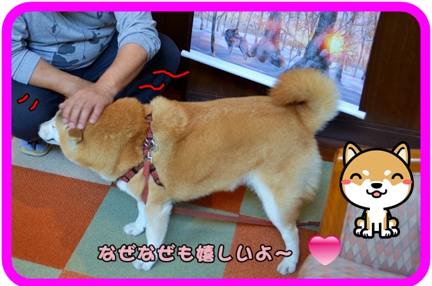 9月21日陣内チャ子ちゃん2.JPG