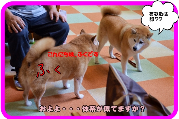 9月21日陣内チャ子ちゃん3.JPG