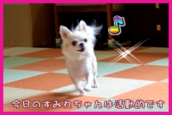 9月25日藤井すみれちゃん2 .JPG
