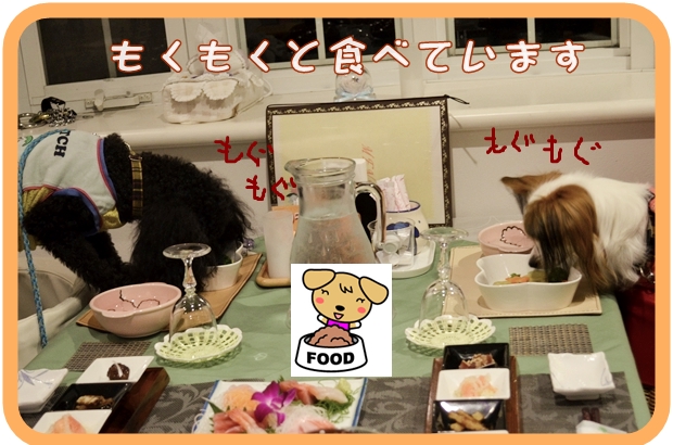 10月4日日紫喜ショーン&ユキちゃん.JPG
