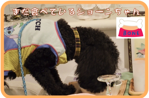 10月4日日紫喜ショーンちゃん.JPG