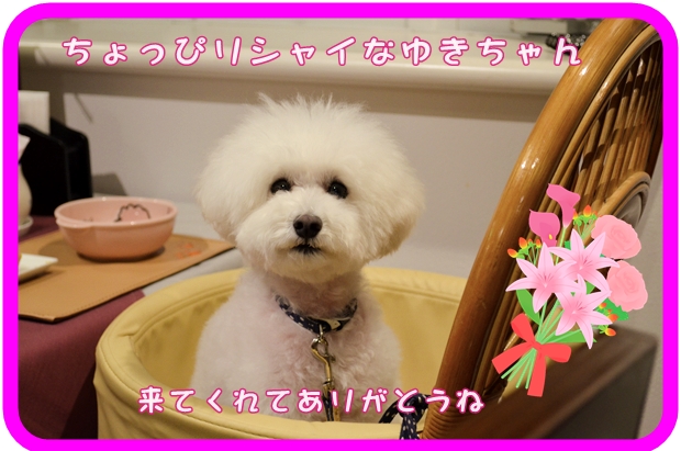 10月11日杉本ユキちゃん .JPG