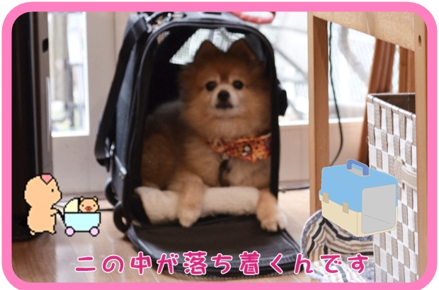 10月14日松尾ふくちゃん.JPG