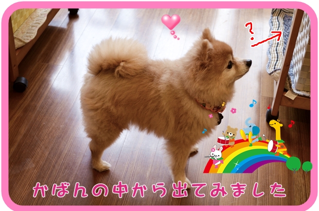 10月14日松尾ふくちゃん2.JPG