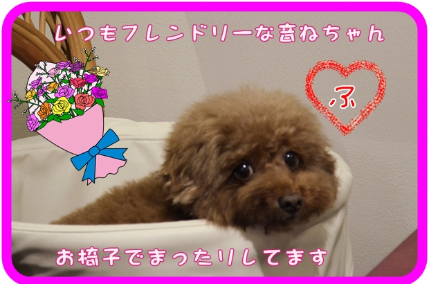 10月11日杉本音ねちゃん.JPG