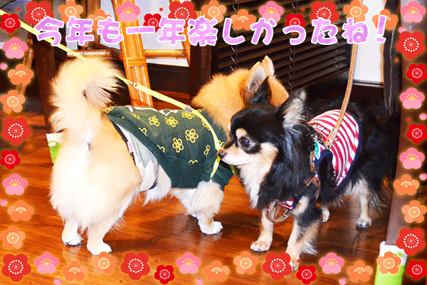 12月31日今井りくちゃん2.jpg