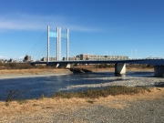 穏やかな是政橋 穏やかな川の流れと是政橋