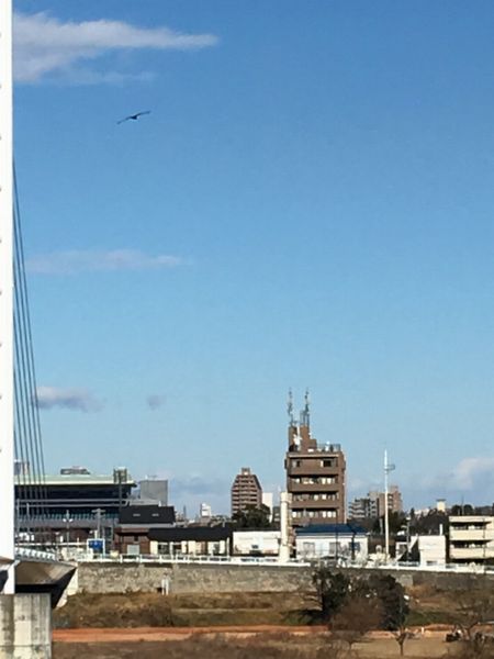 是政橋の前方には東京競馬場 是政橋から東京競馬場が見える