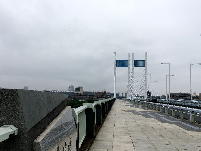 梅雨空一色の是政橋 梅雨空一色の是政橋