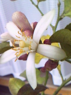 090503_1110~0001.jpg