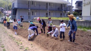 おやじ農園で作業する親子たち