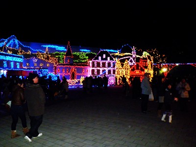 国営備北丘陵公園 ウインターイルミネーション