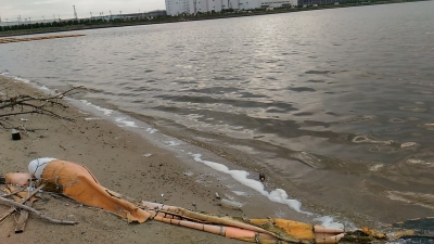 堺浜自然ふれあいビーチ砂浜