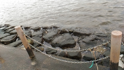 堺浜自然ふれあいビーチ岩場