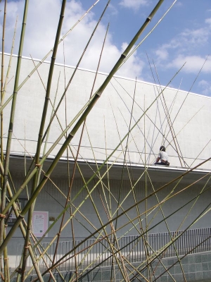 okada