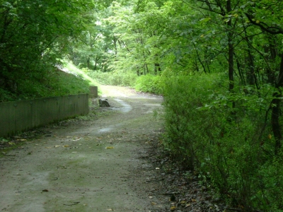 林道