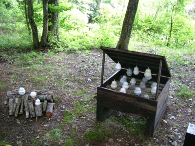 上から