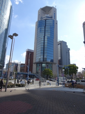 2015-02-09 11.14.13.jpg