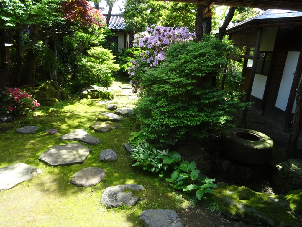 thumb_2015-05-06 11.06.36_1024.jpg