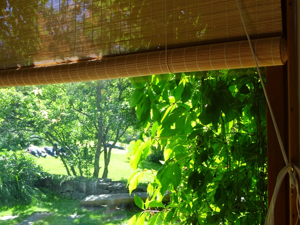 thumb_2015-08-01 19.22.52_1024.jpg