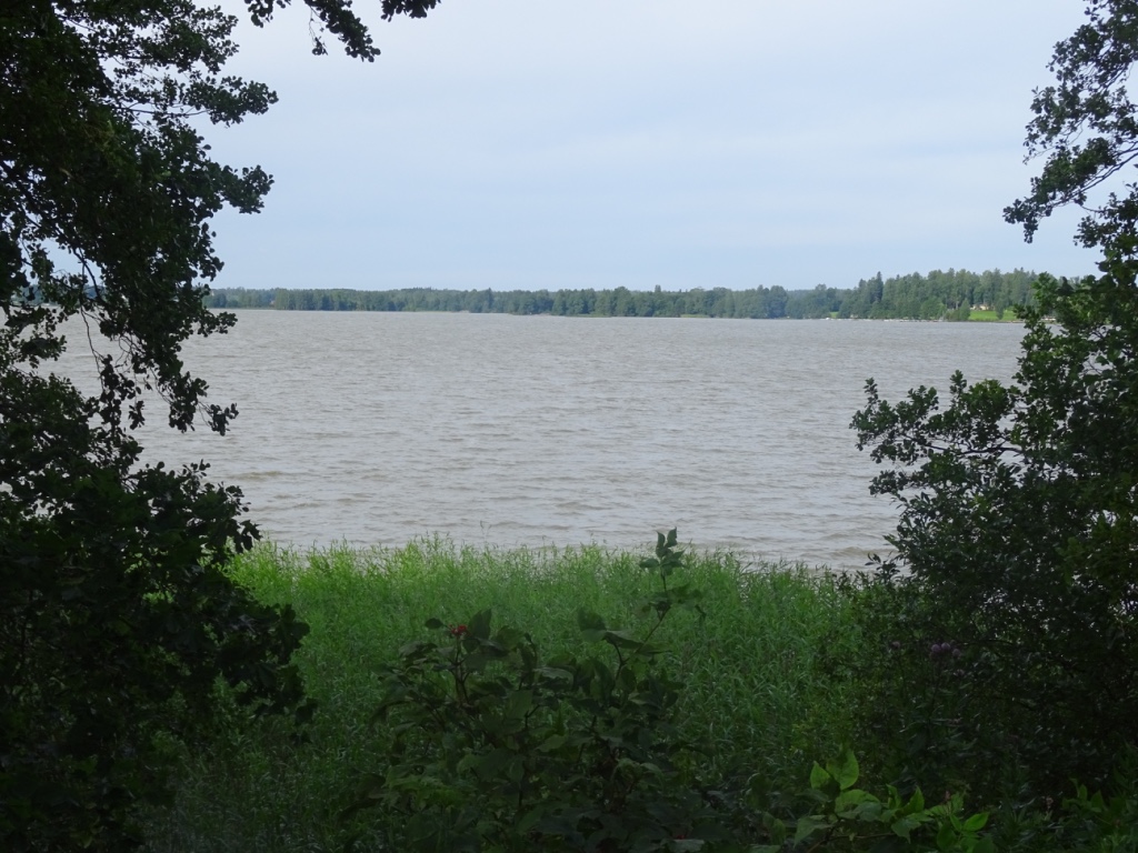 thumb_2015-08-02 15.56.42_1024.jpg