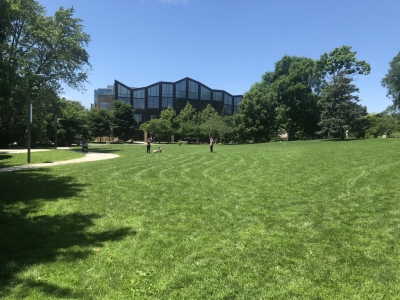 Oak Park Public Library.jpg