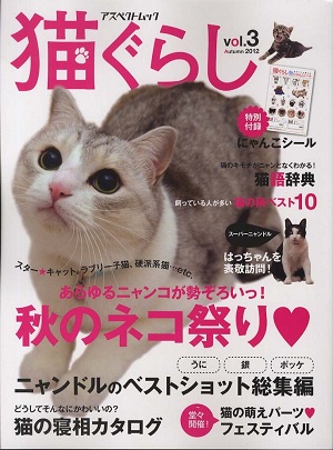 猫ぐらし