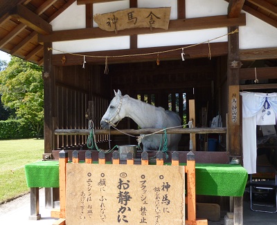神馬