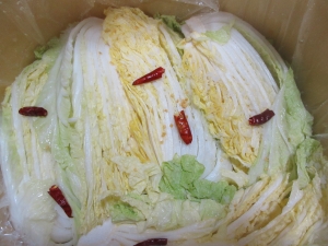 白菜