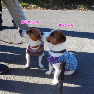 サンちゃん