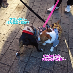 サンちゃん