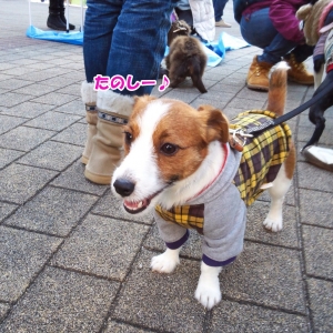 サンちゃん