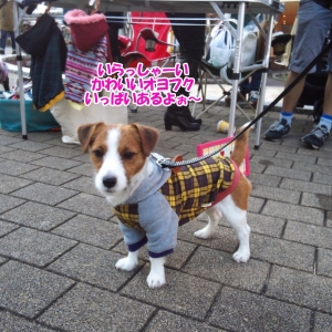 サンちゃん