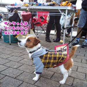 サンちゃん