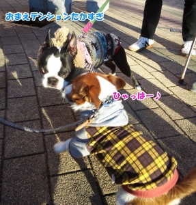 サンちゃん