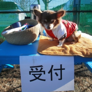 サンちゃん