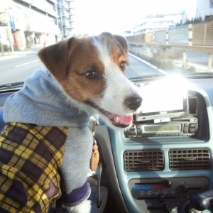 サンちゃん