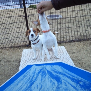 サンちゃん