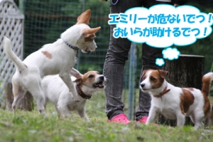 西湖でデイキャンプ