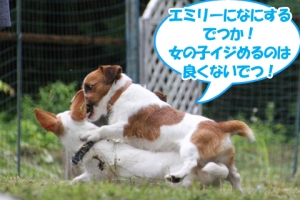 西湖でデイキャンプ