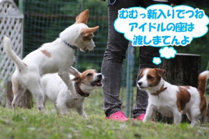 西湖でデイキャンプ