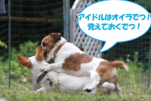 西湖でデイキャンプ