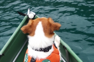 西湖でデイキャンプ